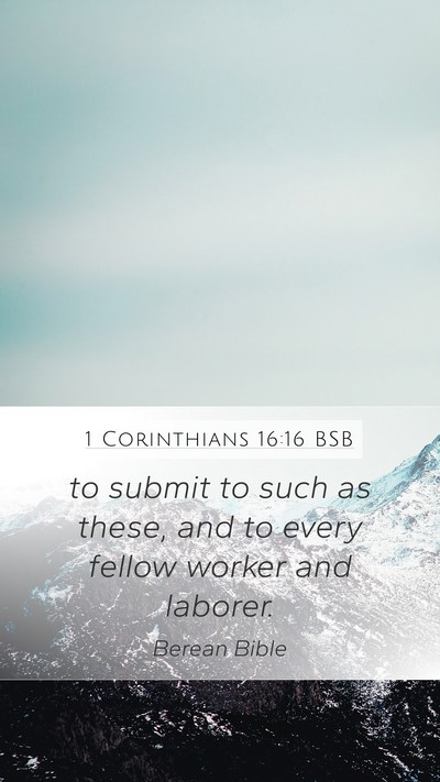1 Corinthians 16:16 BSB Bible Verse Image
