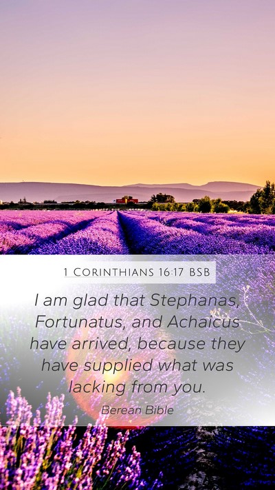 1 Corinthians 16:17 BSB Bible Verse Image