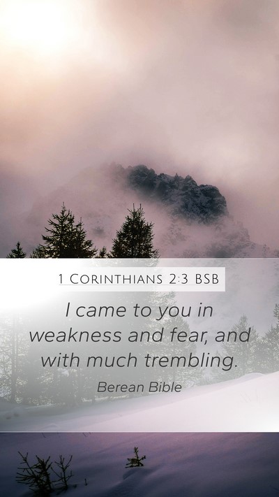 1 Corinthians 2:3 BSB Bible Verse Image