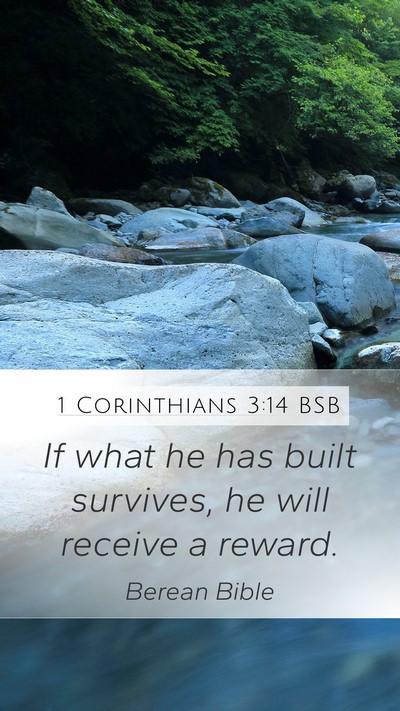 1 Corinthians 3:14 BSB Bible Verse Image
