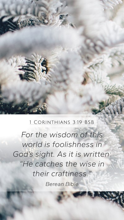 1 Corinthians 3:19 BSB Bible Verse Image