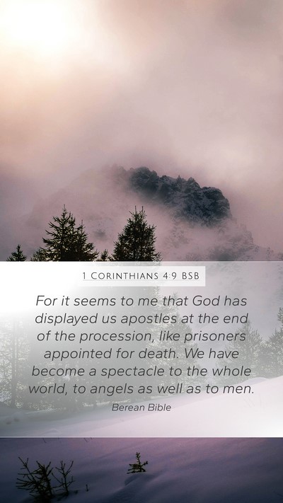 1 Corinthians 4:9 BSB Bible Verse Image