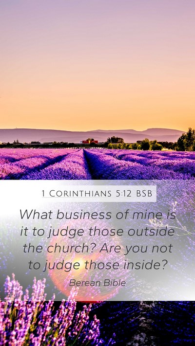 1 Corinthians 5:12 BSB Bible Verse Image
