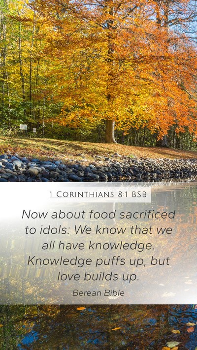 1 Corinthians 8:1 BSB Bible Verse Image