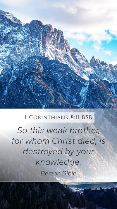 1 Corinthians 8:11 BSB Bible Verse Image