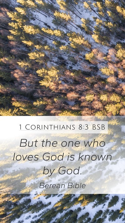 1 Corinthians 8:3 BSB Bible Verse Image