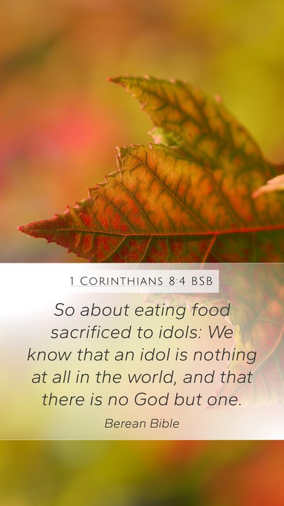 1 Corinthians 8:4 BSB Bible Verse Image