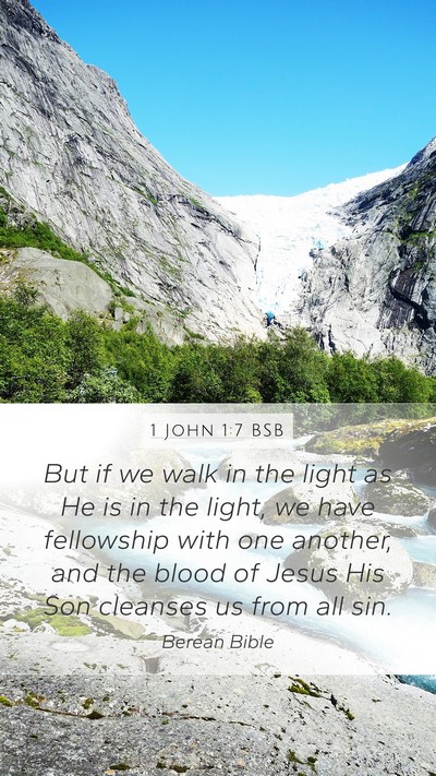 1 John 1:7 BSB Bible Verse Image