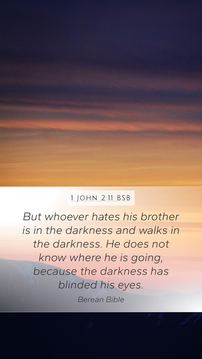 1 John 2:11 BSB Bible Verse Image