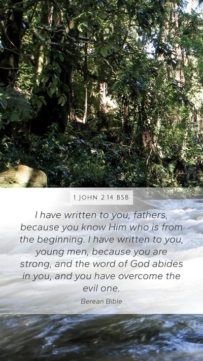 1 John 2:14 BSB Bible Verse Image