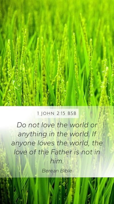 1 John 2:15 BSB Bible Verse Image