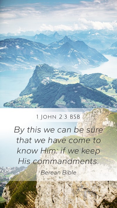 1 John 2:3 BSB Bible Verse Image
