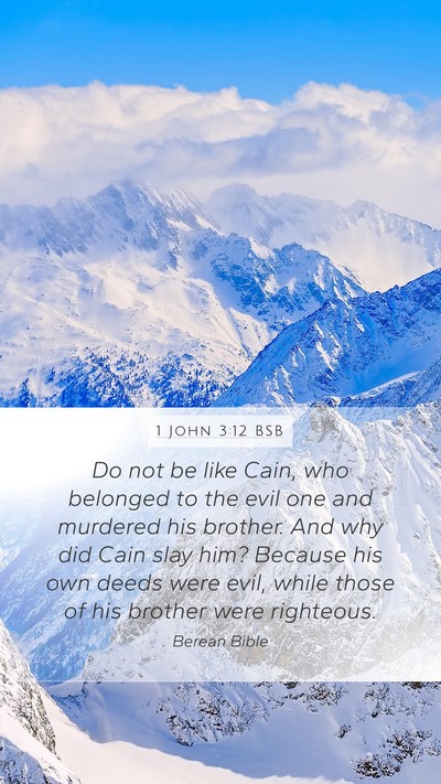 1 John 3:12 BSB Bible Verse Image