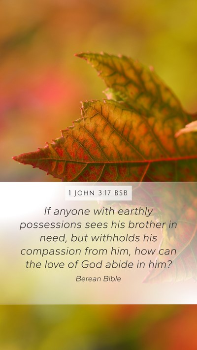 1 John 3:17 BSB Bible Verse Image