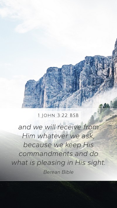 1 John 3:22 BSB Bible Verse Image