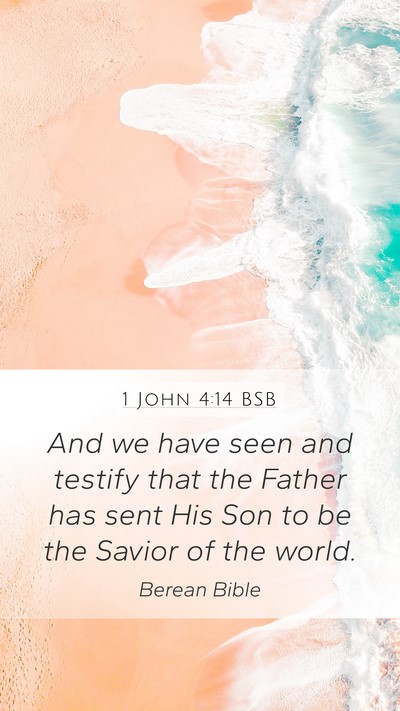 1 John 4:14 BSB Bible Verse Image