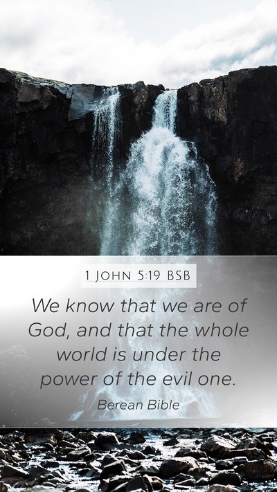 1 John 5:19 BSB Bible Verse Image