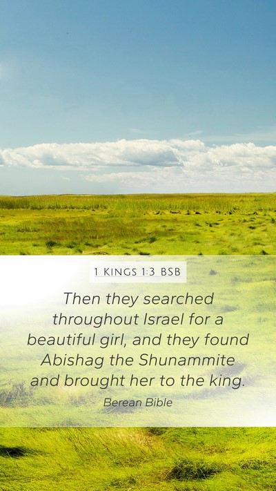 1 Kings 1:3 BSB Bible Verse Image