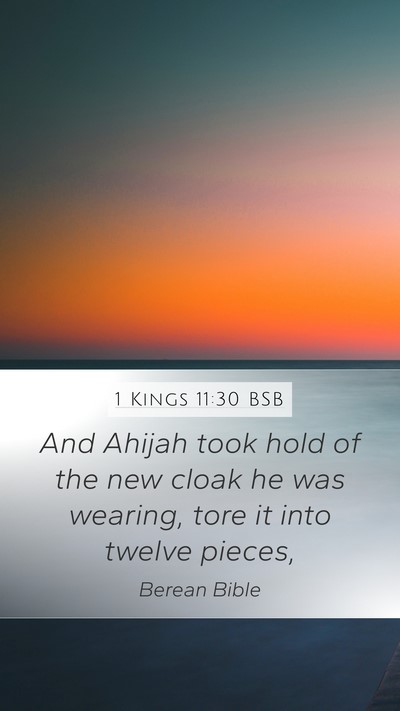 1 Kings 11:30 BSB Bible Verse Image