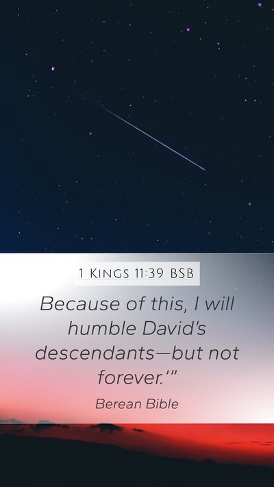 1 Kings 11:39 BSB Bible Verse Image