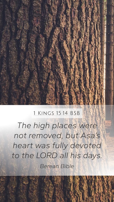 1 Kings 15:14 BSB Bible Verse Image