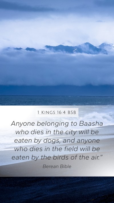 1 Kings 16:4 BSB Bible Verse Image