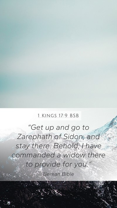 1 Kings 17:9 BSB Bible Verse Image