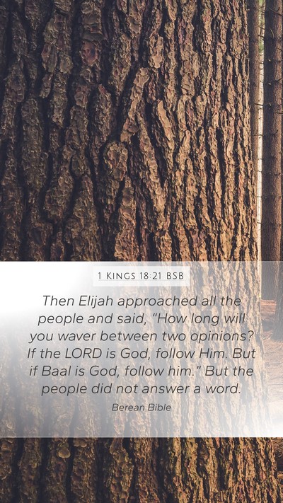 1 Kings 18:21 BSB Bible Verse Image