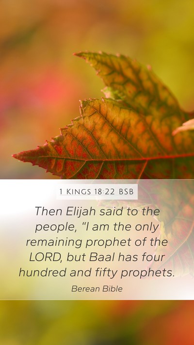 1 Kings 18:22 BSB Bible Verse Image