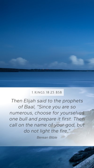 1 Kings 18:25 BSB Bible Verse Image