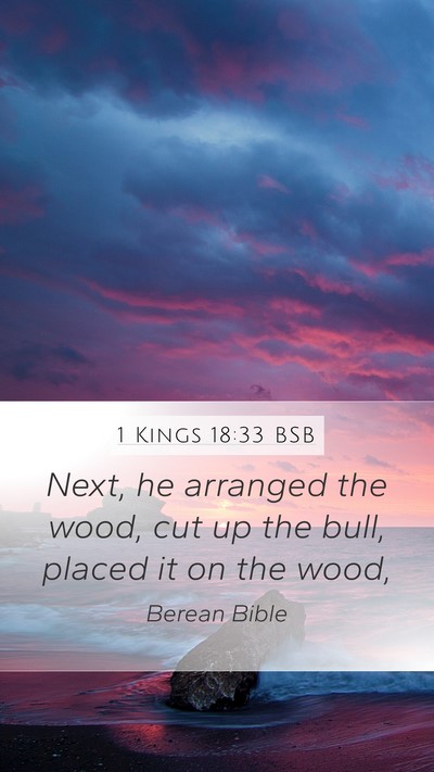 1 Kings 18:33 BSB Bible Verse Image