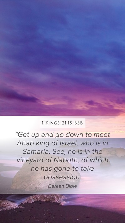 1 Kings 21:18 BSB Bible Verse Image