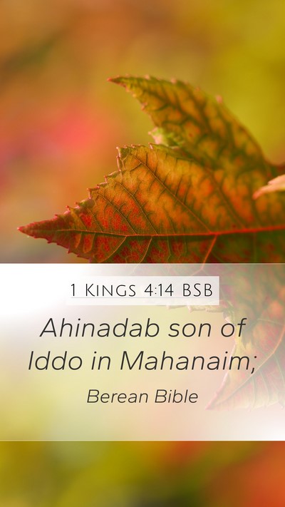 1 Kings 4:14 BSB Bible Verse Image