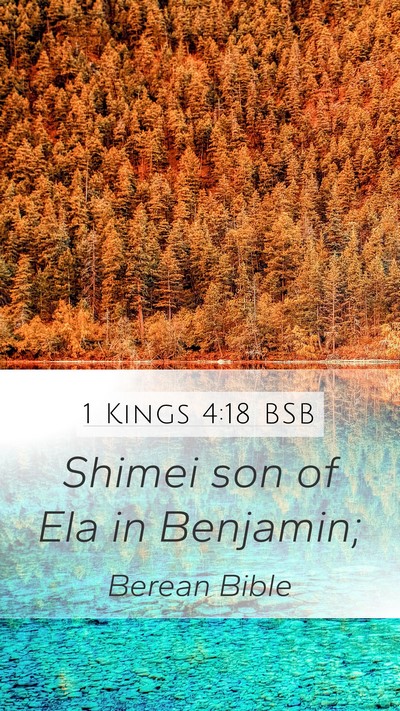 1 Kings 4:18 BSB Bible Verse Image