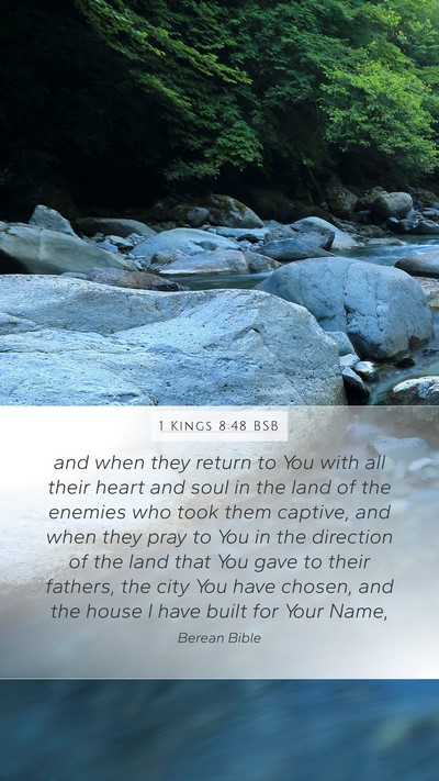 1 Kings 8:48 BSB Bible Verse Image