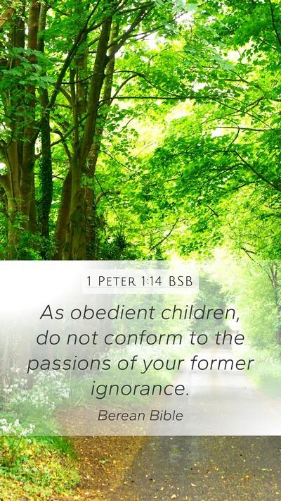 1 Peter 1:14 BSB Bible Verse Image