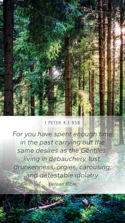 1 Peter 4:3 BSB Bible Verse Image