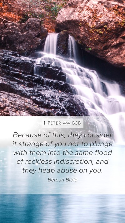 1 Peter 4:4 BSB Bible Verse Image