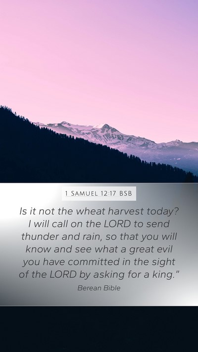 1 Samuel 12:17 BSB Bible Verse Image