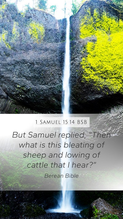 1 Samuel 15:14 BSB Bible Verse Image