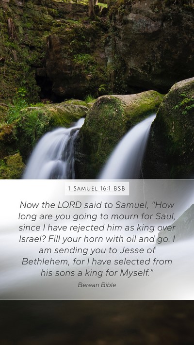 1 Samuel 16:1 BSB Bible Verse Image