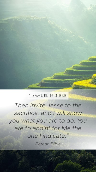 1 Samuel 16:3 BSB Bible Verse Image