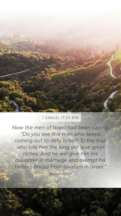 1 Samuel 17:25 BSB Bible Verse Image