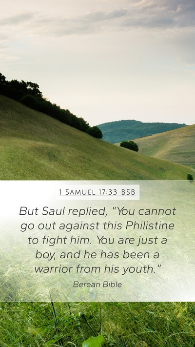 1 Samuel 17:33 BSB Bible Verse Image