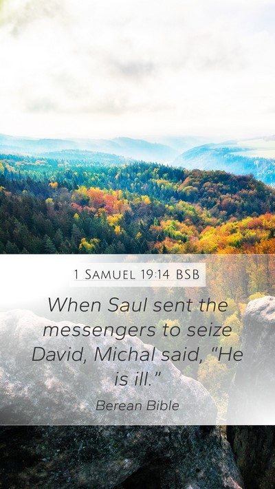 1 Samuel 19:14 BSB Bible Verse Image