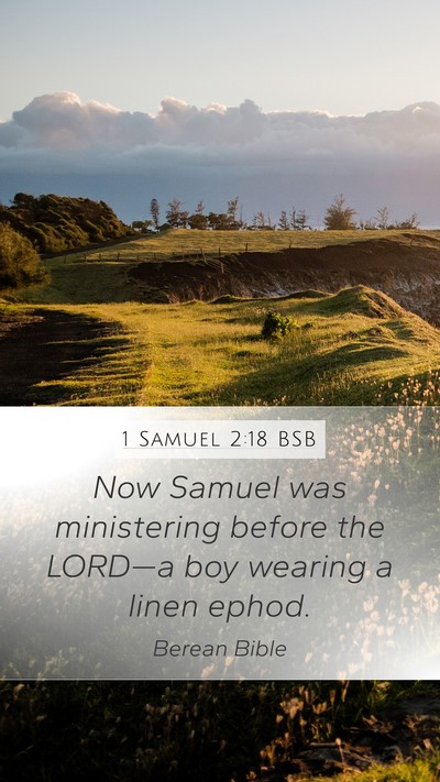 1 Samuel 2:18 BSB Bible Verse Image