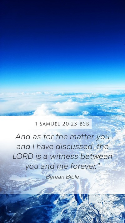 1 Samuel 20:23 BSB Bible Verse Image