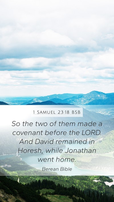 1 Samuel 23:18 BSB Bible Verse Image