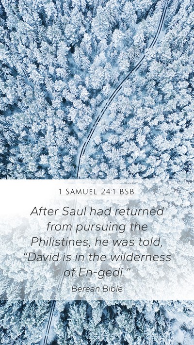 1 Samuel 24:1 BSB Mobile Phone Wallpaper - After Saul had returned from pursuing the - Mobile Bible Verse Wallpaper