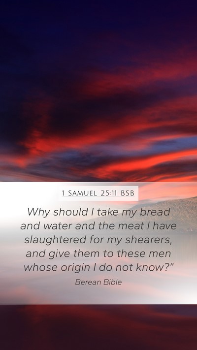 1 Samuel 25:11 BSB Bible Verse Image